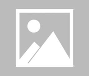 浓眉哥新星出色发挥表现突出，日本队前途光明！