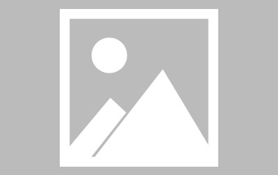 包含Rookie遭遇十五连败，法国队教练面临压力！的词条